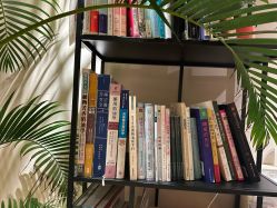 -芳香乐府疗愈空间·SPA·冥想