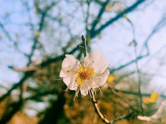 -金山公园