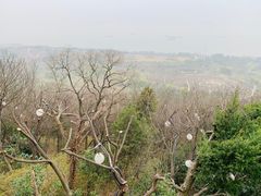 -狼山风景名胜区