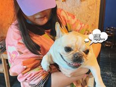 -顽主轰趴馆团建ktv桌游狼人杀(望京店)