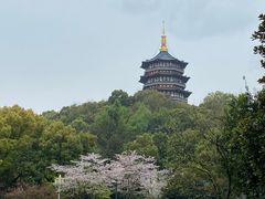 -浙江西子宾馆·牡丹厅