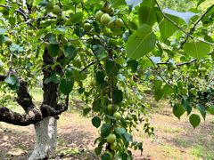 -祥源·阜阳生态乐园