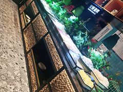 -韩风源自助烤肉(国贸精品店)