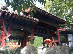 -大槐树寻根祭祖园