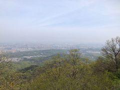 -紫金山山顶公园