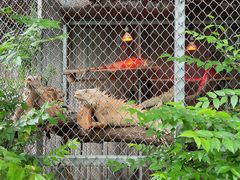 -清迈夜间动物园