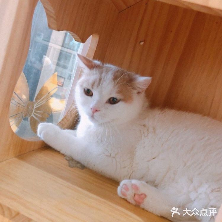 夏日里带着宝宝一起来跟小动物亲密接触吧[礼花]
