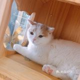 夏日里带着宝宝一起来跟小动物亲密接触吧[礼花]
