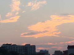-王借岗森林公园