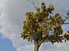 -钟山体育运动公园