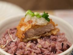 -堂本家·二代目·炸猪排(Express东海店)