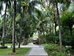 -三亚湾海居铂尔曼度假酒店