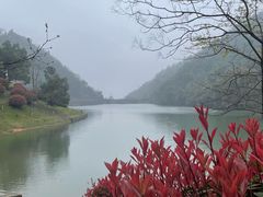 -桃花岭景区