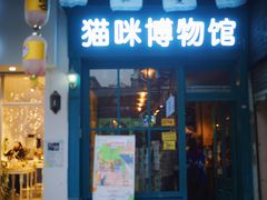 -猫咪博物馆(顶澳仔猫街店)