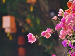 -南沙蒲洲花园