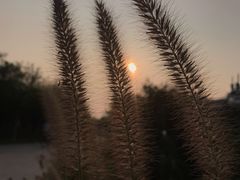 -天津东丽湖风景区