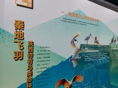 -陕西科学技术馆