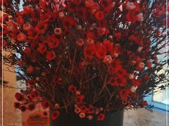 -Moka Bros 摩卡站(西单大悦城店)