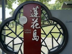 -莲花岛景区