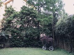 -胶囊画廊