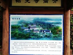 -韬光茶庵