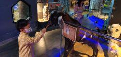 -未来动物城主题公园(正弘城店)