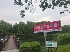 -白塔湖国家湿地公园