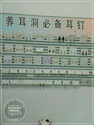 -AI艾耳·专业手工耳洞·穿孔美学馆