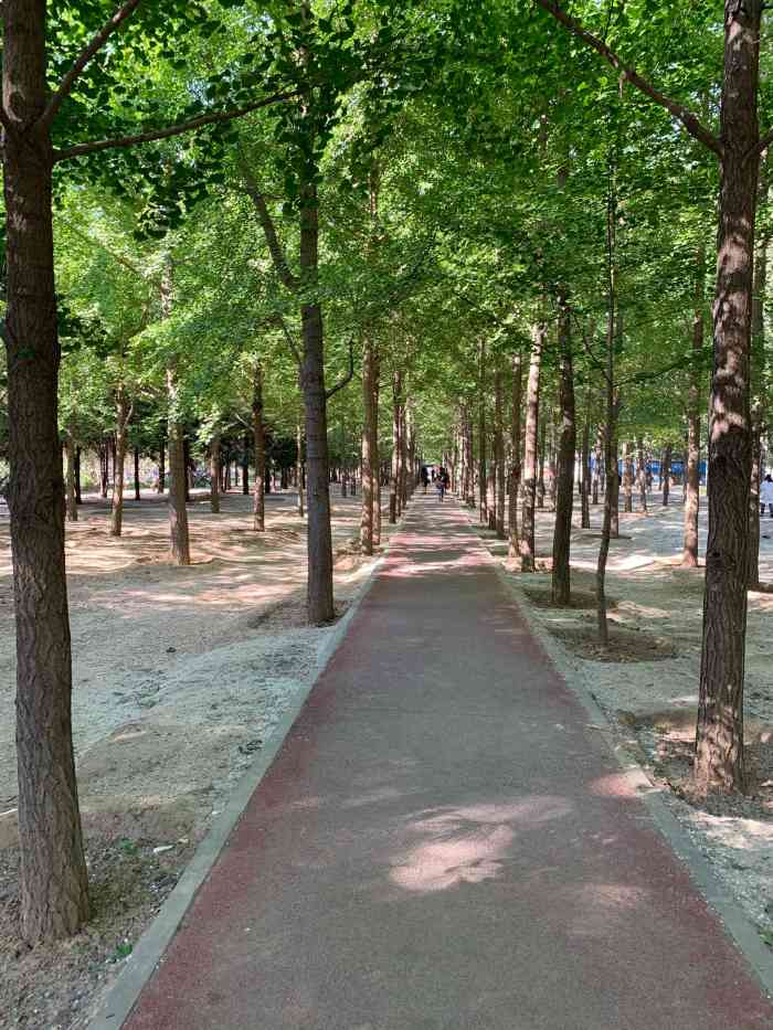 成都小吃(将台路店)-"这家成都小吃开在酒仙桥附近,然后挨着熊猫.