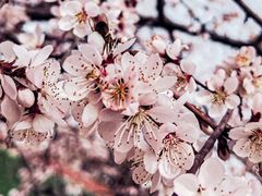 -唐城墙遗址公园