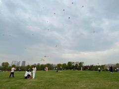 -绍兴镜湖国家城市湿地公园