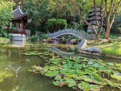 -深圳国际园林花卉博览园