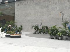 -奈雪的茶(skp店)