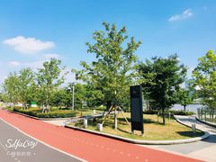 景点-北外滩滨江绿地