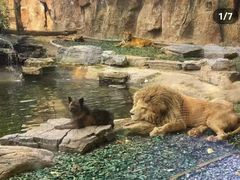 -秦皇岛野生动物园