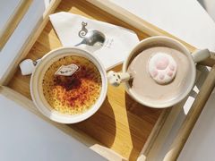 焦糖布丁-猫小主咖啡·猫咖cat cafe(福田店)