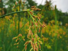 -映像徐州(滨湖店)