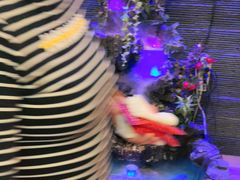 -同喜烤鸭店(光芒店)