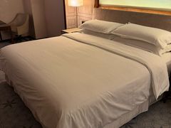 -上海嘉定喜来登酒店