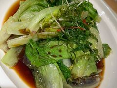 豉油生菜-江南郡府(天宝路店)