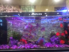 -潮喜竹溪荔湖酒家(荔枝湾店)