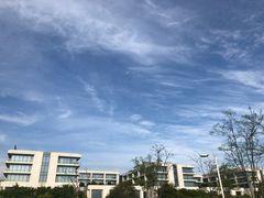 -尚贤河湿地