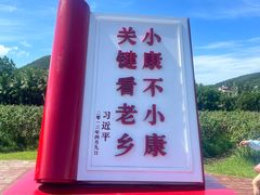 -亚龙湾国际玫瑰谷