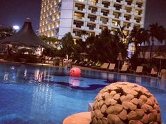 -新加坡瑞士史丹福酒店