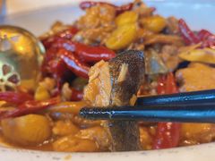 -印象鲵宴·张家界地标美食名片(溪布街店)