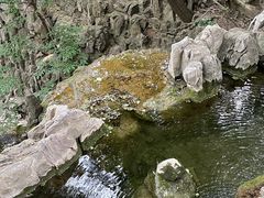 -四门塔风景区