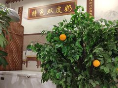 -捷信牛奶甜品世家(五道口店)