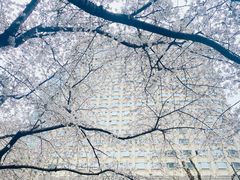 -中国银行(上海市新闸路支行)