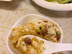 鸽肾焗饭-百利鸽王(紫薇路店)