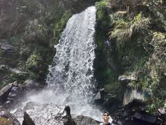 -石台牯牛降景区